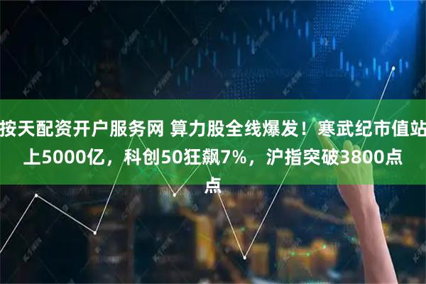 按天配资开户服务网 算力股全线爆发！寒武纪市值站上5000亿，科创50狂飙7%，沪指突破3800点