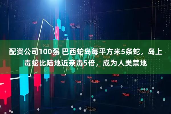 配资公司100强 巴西蛇岛每平方米5条蛇，岛上毒蛇比陆地近亲毒5倍，成为人类禁地